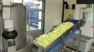 Linea Continua Corte + Lavado + Centrifuga Contínua