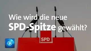 SPD entscheidet &uuml;ber Wahl zur Parteif&uuml;hrung - gibt es eine Doppelspitze?
