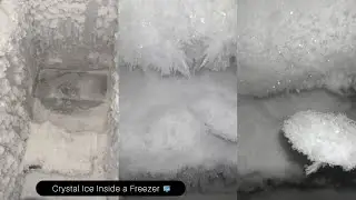 Frozen Freezer 😋 Deep freezer frost formed naturally ❄️Feather-like ice crystals 😌 Real ice 🧊ASMR ❤️