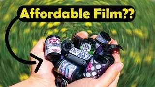 The Future of Film Photography?