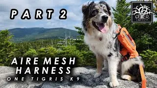 Part 2 of 3 - Mountain Adventure...One Tigris Aire Mesh Harness!!
