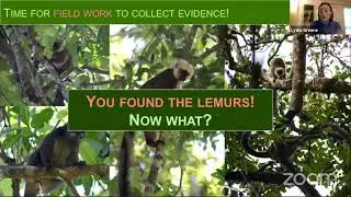 Lemur Science 101: The How