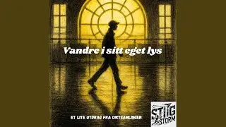 Hvor tok dere veien egentlig ?