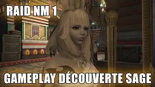 Final Fantasy XIV Endwalker : Raid NM 1 Le Parvis - Gameplay Sage en Pick Up [ MMORPG 2022 ]
