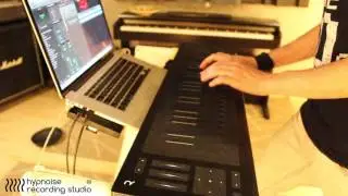 ROLI Seaboard RISE 49 - Guitar Overdrive Mono Lead - DEMO