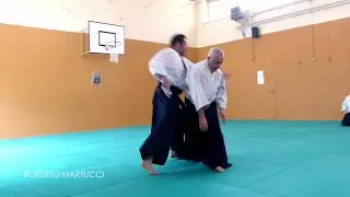 Aikido - Roberto Martucci - Inspiration