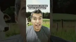Pasto passado atrai pragas de pastagem?