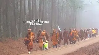 77 天行脚路，19 位僧人与一只心形额头的狗，把慈悲种进人心Nineteen Monks and a Dog with a Heart-Shaped Mark Walk for Peace