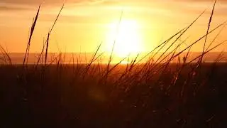 Blackmill Feat. Veela - Life (Piano arrangement)