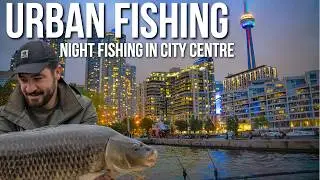 Night Fishing In City Centre - Urban Carp Adventures