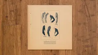 Normal Brain - KE-300