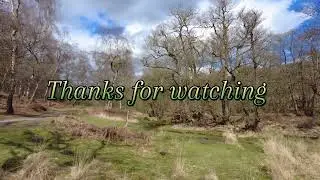 Staffordshire's Best-Kept Secret: The Stepping Stones Adventure
