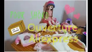 OUVERTURE ALIEXPRESS: Pour Sh&ouml;ko ma bjd Yosd.