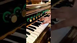 Showers of Blessings 🎹 Reed Organ Cover ft. Gift Immanuel @Idaiyangudi Comment if you seen it before
