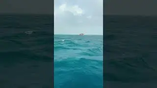 #roughsea #islandsecrets #natureshorts #sea