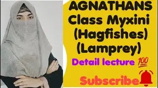 || AGNATHANS || Hagfishes / Lamprey/ Habitat/Nutrition/reproduction/development