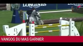 VANGOG DU MAS GARNIER - France Etalons