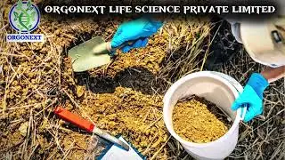 The Day Everything Changed Forever / soil test / mitti ka test #Shorts #agriculture