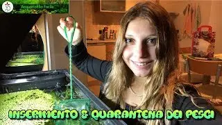 INSERIMENTO E QUARANTENA DEI NUOVI PESCI