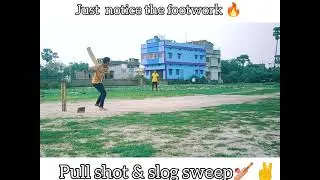 Hamre sher ki bindaaas pull shot ........