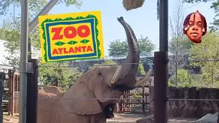 ZOO ATLANTA