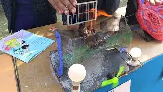 The experiment by solar panel.