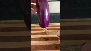 Why it&rsquo;s called Eggplant.                         #eggplant #egg #biology