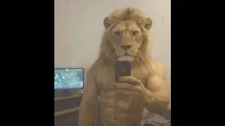 славянские приключения Х
