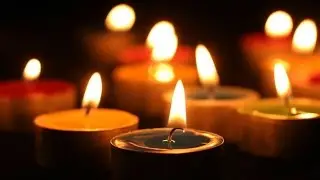 Candlelight Vigil for  Animals Killed in Shelters