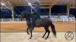 Ponderosa Espect&aacute;culo de Chapala, Gran Campe&oacute;n Paso Fino Miami Summer Classic 2022