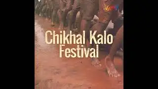 Chikhal Kalo 2024