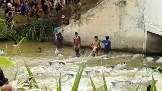 Amazing Khmer Real Life Fishing At Siem Reap Cambodia -Khmer Fishing At Siem Reap Cambodia