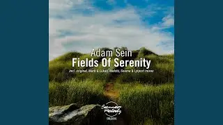 Fields of Serenity (Souma & Lytport Remix)