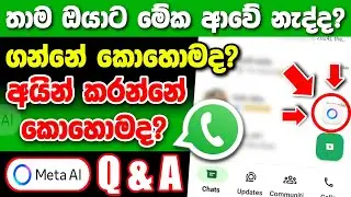 Whatsapp එකට Meta Ai ගන්නේ මෙහෙමයි - How To Fix Meta Ai Not Showing Problem Sinhala Meta Ai Q And A