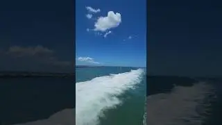 #boat #speeding #ocean #gulfcoast #sunshine #shorts #reels