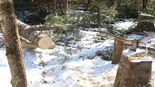 How To Easily Move Heavy Logs Alone With No Machines. Log Cabin Building.