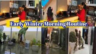 Indian Mom's early Winter morning routine | Cooking cleaning and organizing #morningroutine 