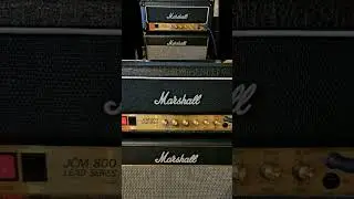 Marshall JCM 800 vs EVH 5150 #evh5150iii #evh5150 #5150 #marshallamps #marshallamplification