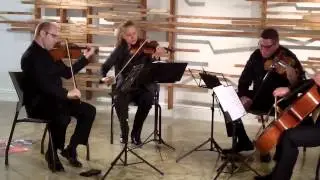 Haydn: Quartet in F-minor, op. 20, no.5 -- Amernet String Quartet, AmerneXt - II. Menuetto