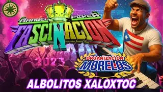 Jilguerito, Alegre, sonido, Fascinacion arbolitos, Xalosto, 2025 ￼
