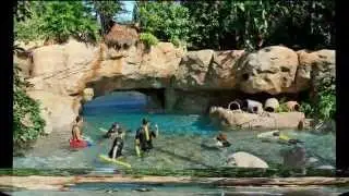 discovery cove in Orlando, Florida.