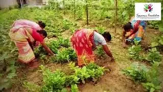 food security - Tomorrow's Foundation