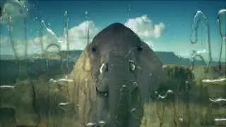 Animal Planet HD Europe [fullHD] - Amazing Advert !! - 06.09.2013