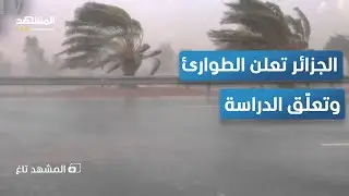 رياح عاتية تضرب الجزائر.. قصة العاصفة التي أغلقت 52 ولاية – المشهد تاغ
