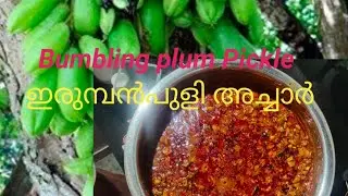 നാവിൽ കപ്പലോടും രുചിയിൽ ഇരുമ്പൻ പുളി അച്ചാർ Kerala Style (Bumbling plum Pickle)#Irumban#puly#pickle