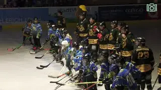 ECU Amstettner W&ouml;lfe - ATSV Steyr Panthers: 7:2