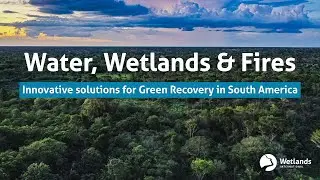 Water, Wetlands and Fires: Innovative solutions for Green Recovery in South America