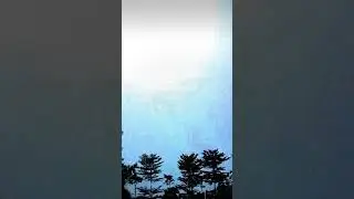 Jacketa lighta waliya (like app)