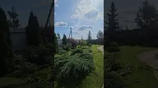 Насущное,как провожу выхи.