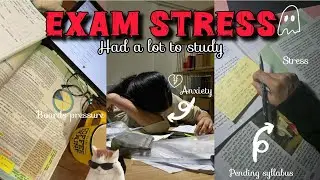 EXAM KA STRESS 🤧💔 || ANXIETY 😭😩 ||LIMITED TIME ..... Study vlog📖✨